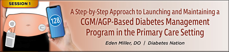A Step-by-Step Approace to Launching and Maintaining a CGM/AGP-Based Diabetes Management Program in the Primary Care Setting